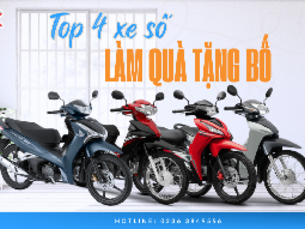 TOP 4 XE SỐ LÝ TƯỞNG – QUÀ TẶNG BỐ CHẤT LỪ